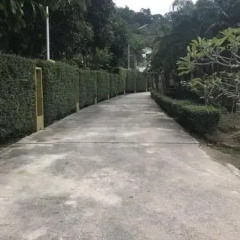 Asia Garden Phuket Hotel спортивное сооружение