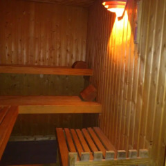 Hotel Farchauer Mühle сауна