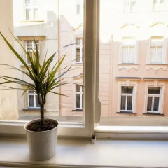 Апартаменты Apartment by the Old Town Square комната для гостей фото 4