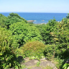 Yakushima Green Hotel Якусима пляж