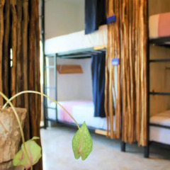 Отель Namastay Hostel Мексика, Плая-дель-Кармен - отзывы, цены и фото номеров - забронировать отель Namastay Hostel онлайн комната для гостей фото 3