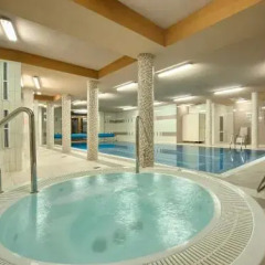 Апартаменты Visitzakopane Eco Apartments Косцелиско бассейн