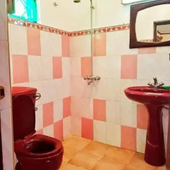 Отель Fernando Residence Шри-Ланка, Берувела - отзывы, цены и фото номеров - забронировать отель Fernando Residence онлайн ванная