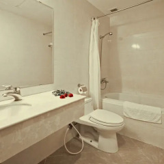 Alagon Ben Thanh Hotel & Spa Хошимин ванная фото 2