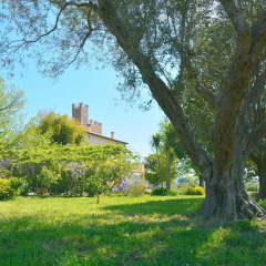 Отель Casale Del Gelso Дженцано-ди-Рома