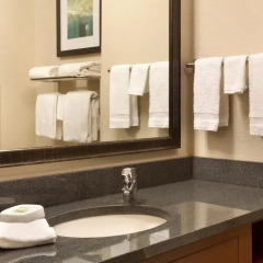 Отель Drury Inn & Suites St. Louis Brentwood ванная