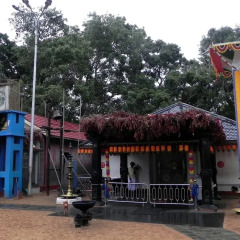 Отель Sanoga Holiday Resort Шри-Ланка, Тиссамахарама - отзывы, цены и фото номеров - забронировать отель Sanoga Holiday Resort онлайн развлечения