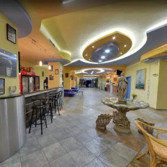 Отель Dana Palace Болгария, Золотые пески - отзывы, цены и фото номеров - забронировать отель Dana Palace онлайн гостиничный бар