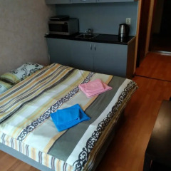 Apart hotel Svetlana комната для гостей фото 2