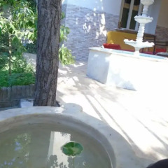 Lotus Garden Hostel Турция, Измир - отзывы, цены и фото номеров - забронировать отель Lotus Garden Hostel онлайн бассейн фото 2