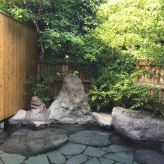 Отель Ryokan Tatsumi Хидзи бассейн