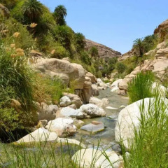 Отель Madaba Private Home Experience – Fadi’s Home Stay Иордания, Мадаба - отзывы, цены и фото номеров - забронировать отель Madaba Private Home Experience – Fadi’s Home Stay онлайн бассейн фото 2