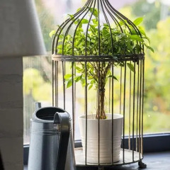 Гостиница Art-loft Tverskoy 13 питание