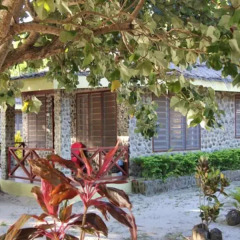 Отель Korovou Eco Tour Resort Фиджи, Матаялеву - отзывы, цены и фото номеров - забронировать отель Korovou Eco Tour Resort онлайн фото 3