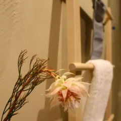 Casa Lirio Hotel Boutique развлечения