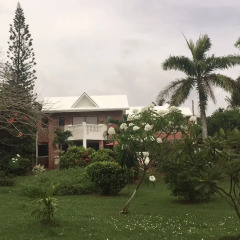 Отель Casa de las Flores Tropical Lodge Колумбия, Сан-Андрес - отзывы, цены и фото номеров - забронировать отель Casa de las Flores Tropical Lodge онлайн фото 6