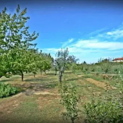 Отель Cevoli Country Resort Лари фото 5
