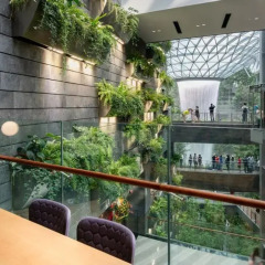 Отель Yotelair Singapore Changi Airport Сингапур балкон