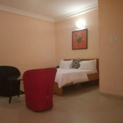Отель Allen Suites Энугу комната для гостей