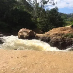 Bandarawela Hotel фото 3