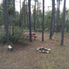 Отель Rocky RV Park and Campground с домашними животными