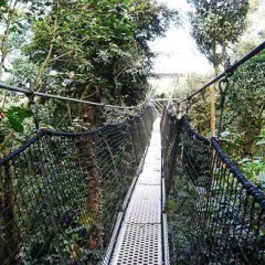 Отель Obudu Mountain Resort Нигерия, Обуду - отзывы, цены и фото номеров - забронировать отель Obudu Mountain Resort онлайн приотельная территория фото 2