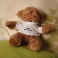 Hotel Beau Rivage с домашними животными