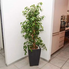 Отель A Casa Di Ale Pretty -R-Home в номере
