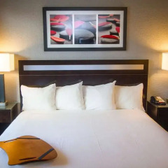 Отель Americas Best Value Inn And Suites США, Лос-Анджелес - отзывы, цены и фото номеров - забронировать отель Americas Best Value Inn And Suites онлайн комната для гостей фото 3