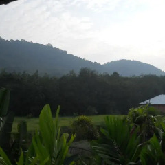 Отель Frog and Catfish Country Inn Krabi балкон