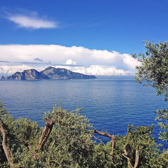 Отель Locazione Turistica Baldassarre фото 3