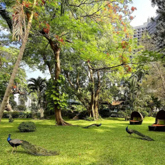 Royal Orchid Sheraton Hotel & Towers фото 10