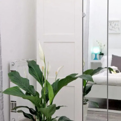 Отель Colosseum Area - My Extra Home сауна