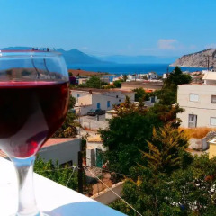 Отель Villa Rodanthos с домашними животными