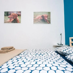 Апартаменты D.five Vizsla Apartment At National Museum Будапешт комната для гостей фото 2