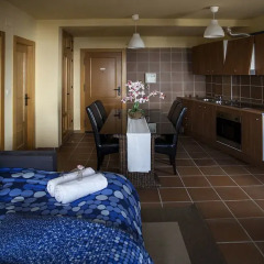 Отель Apartamentos Boabdil удобства в номере