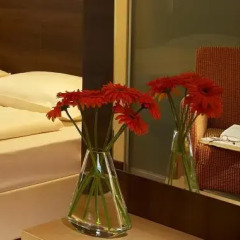 Hotel Alpha Wien в номере