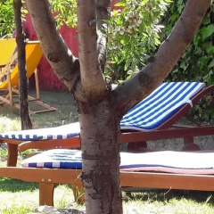 Отель Holiday Home Calle Estrella Сьюдад-Реаль бассейн фото 2