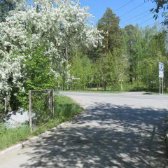 Гостиница Куделька спортивное сооружение