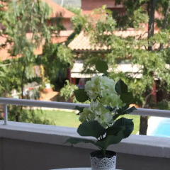 Отель Aparthotel Marsol балкон