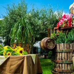 Отель Agriturismo Mare e Monti Аджерола фото 5