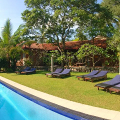 Отель Panchi Villa Шри-Ланка, Бентота - отзывы, цены и фото номеров - забронировать отель Panchi Villa онлайн бассейн фото 3