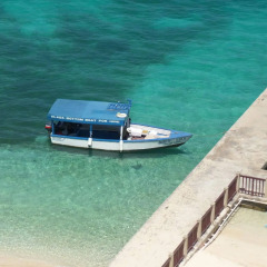 Отель Daydream Beach at Montego Bay Club
