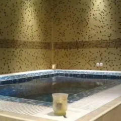 Hotel Teddy House Банско бассейн