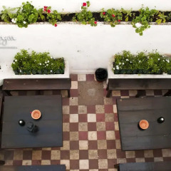Hostel Casa d'Alagoa с домашними животными