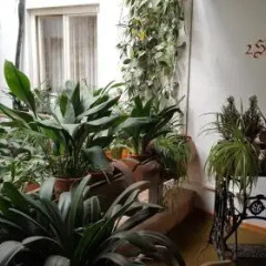 Hotel Goldenes Kreuz Випитено интерьер отеля