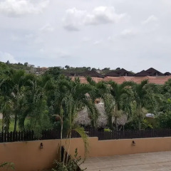 Отель Executive Suites - Palms of Ottawa балкон