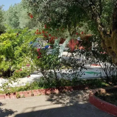 Erdek Oliva Havuzlu Pansiyon Турция, Мармара - отзывы, цены и фото номеров - забронировать отель Erdek Oliva Havuzlu Pansiyon онлайн