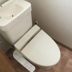 Отель Ryokan Tatsumi Хидзи ванная
