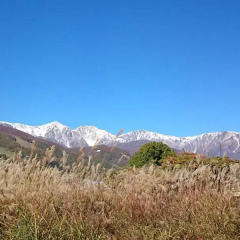 Petit Hotel Enchante Хакуба фото 3